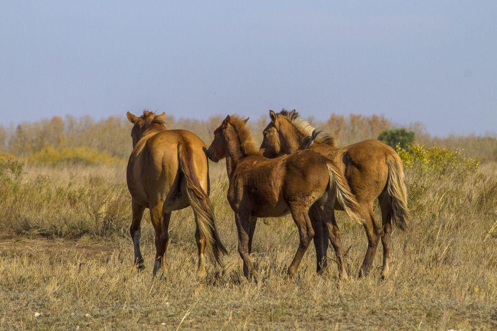 Фотография автора Вячеслав Булатов