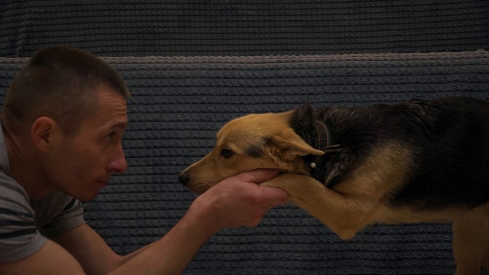 Photograph by Александр Климов