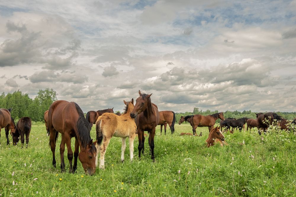 Фотография автора Наталья Липовская