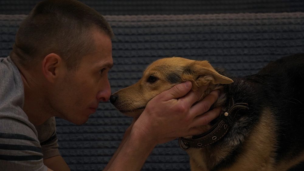 Photograph by Александр Климов