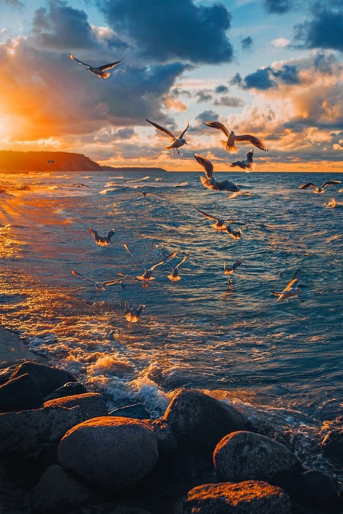 Photograph by Юлия Залалова