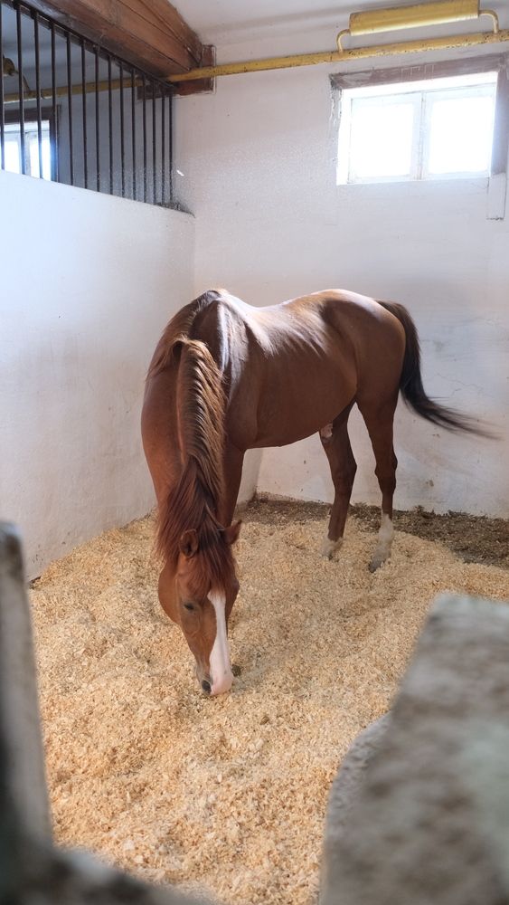 Photograph by Яна Истоцкая