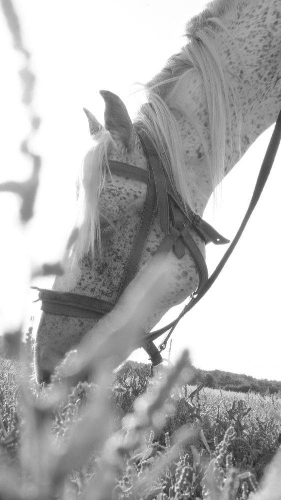 Photograph by Яна Истоцкая