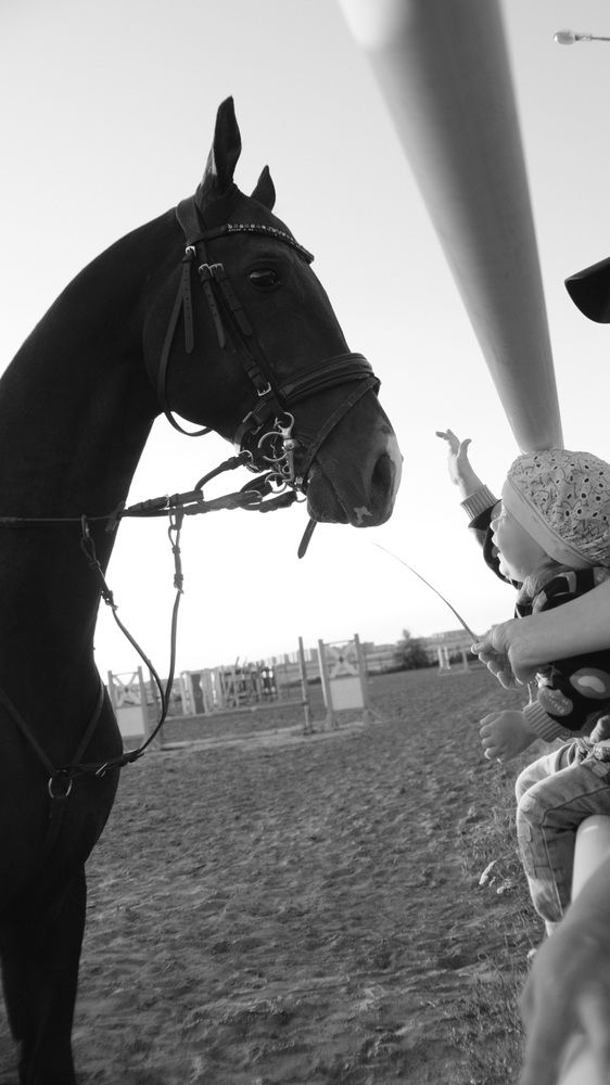 Photograph by Яна Истоцкая