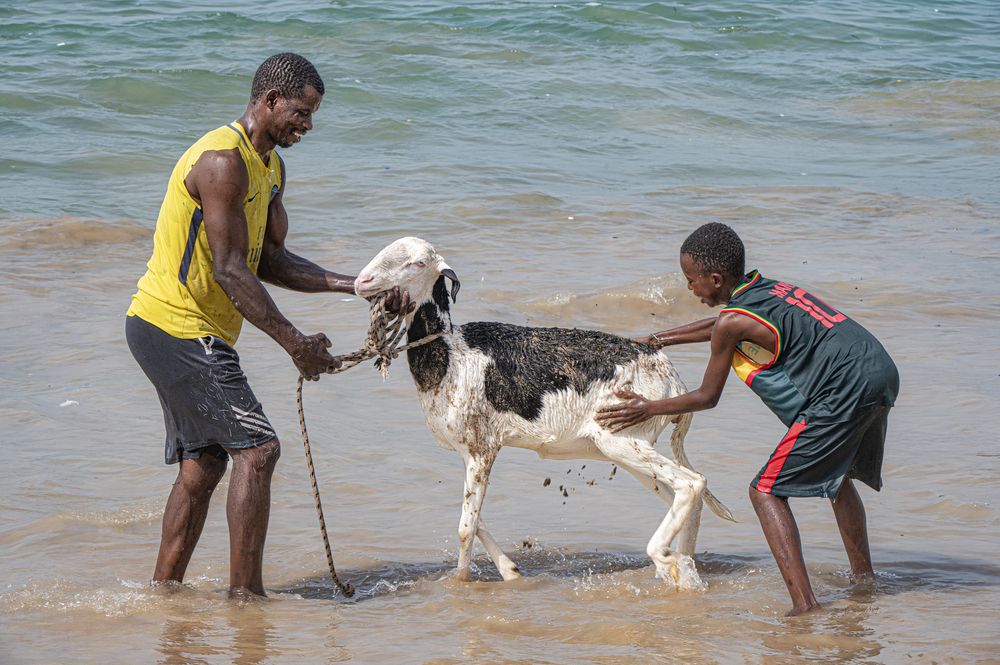 Photograph by Jacky Weckx