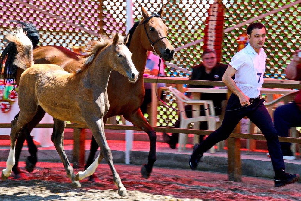Фотография автора Александр