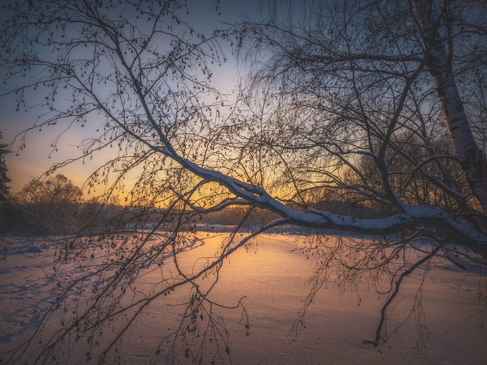 Photograph by Кирилл Сидоров