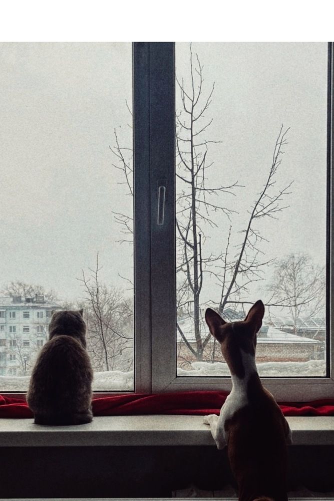 Photograph by Ирина Козлова