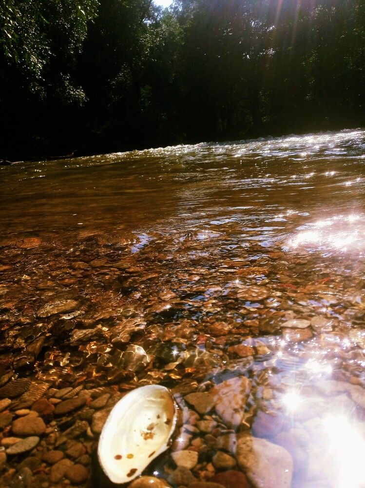 Photograph by Jindřiška Kučerová