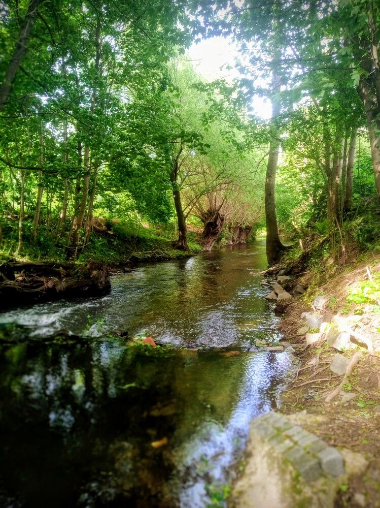 Photograph by Jindřiška Kučerová