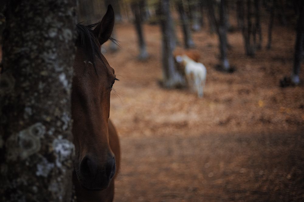Photograph by Александр Игнатущенко