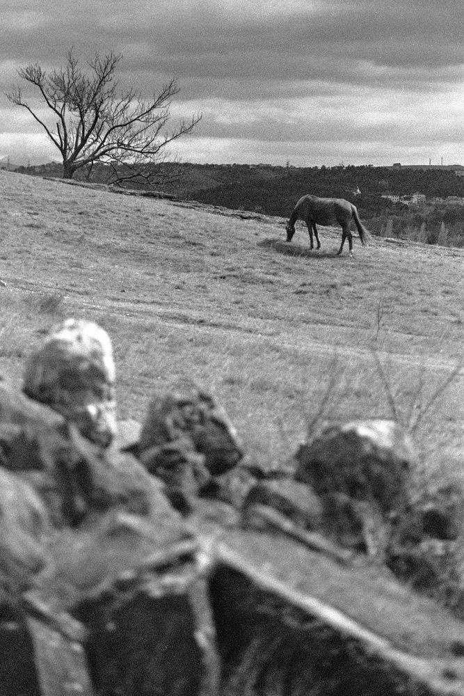 Photograph by Александр Игнатущенко