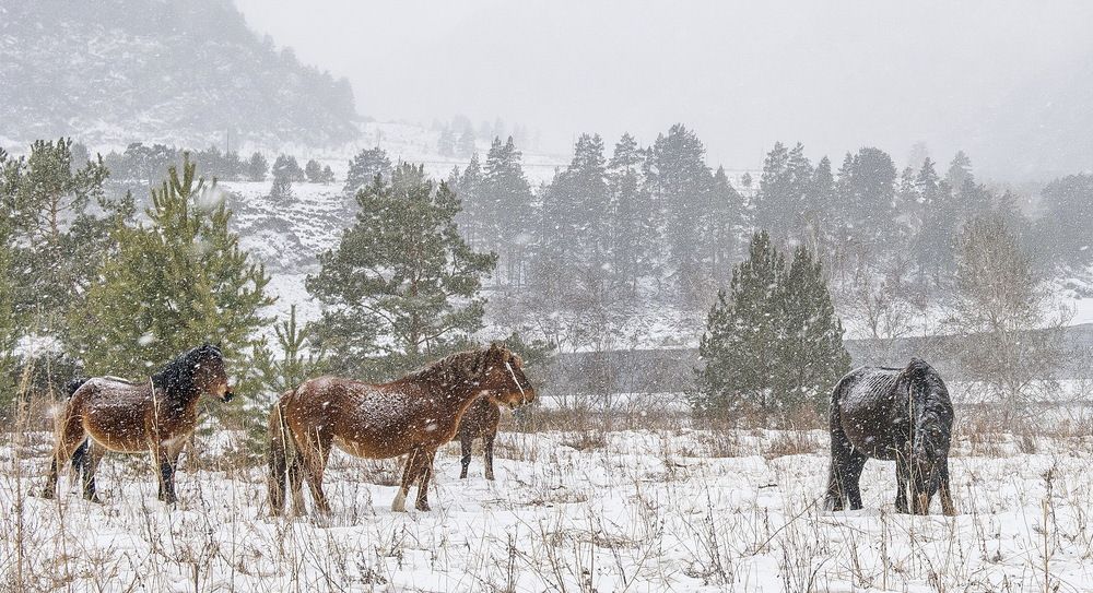 Фотография автора Валерий Смирнов