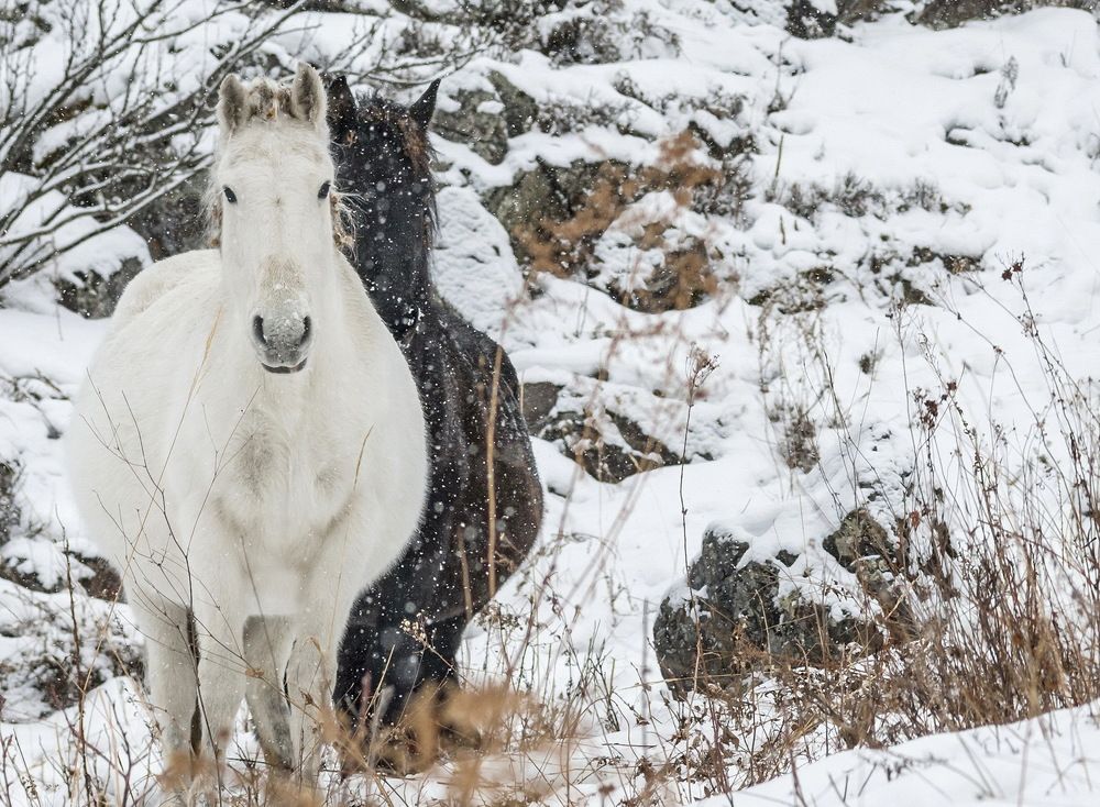 Фотография автора Валерий Смирнов