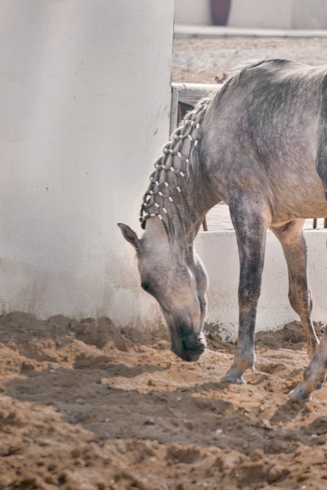 Photograph by Nada Khalifa