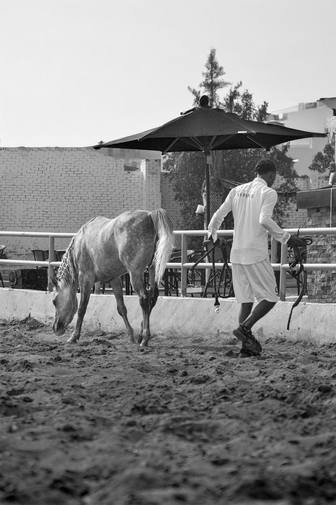 Photograph by Nada Khalifa