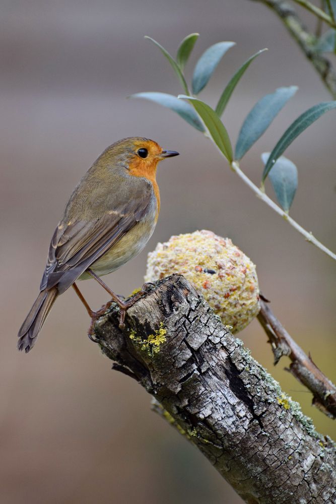 Photograph by Regina Belomytseva-Dahan