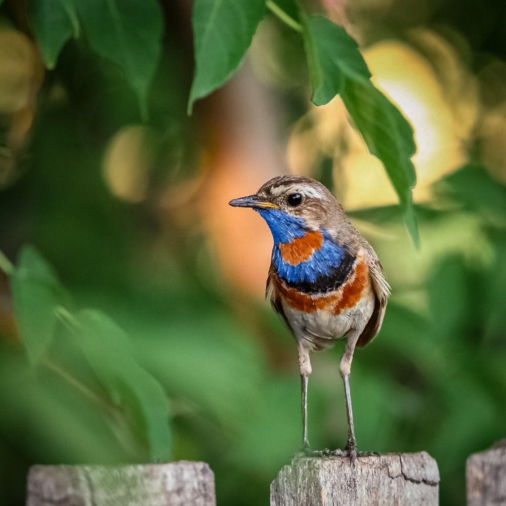 Photograph by Игорь Васильев