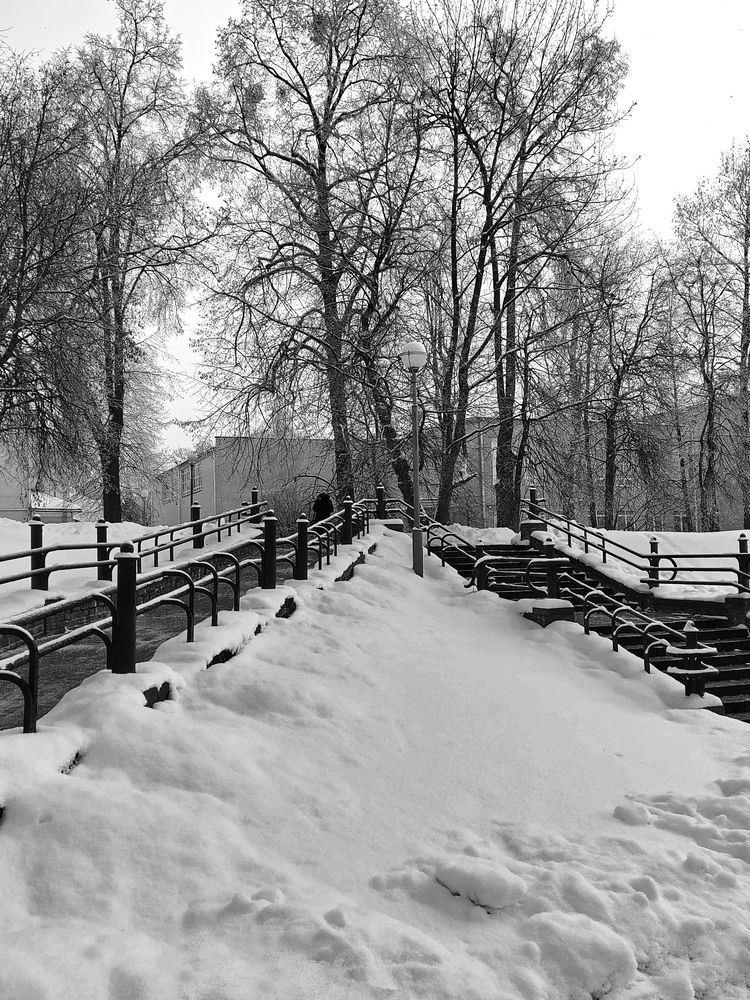 Фотография автора Нестеренко Светлана