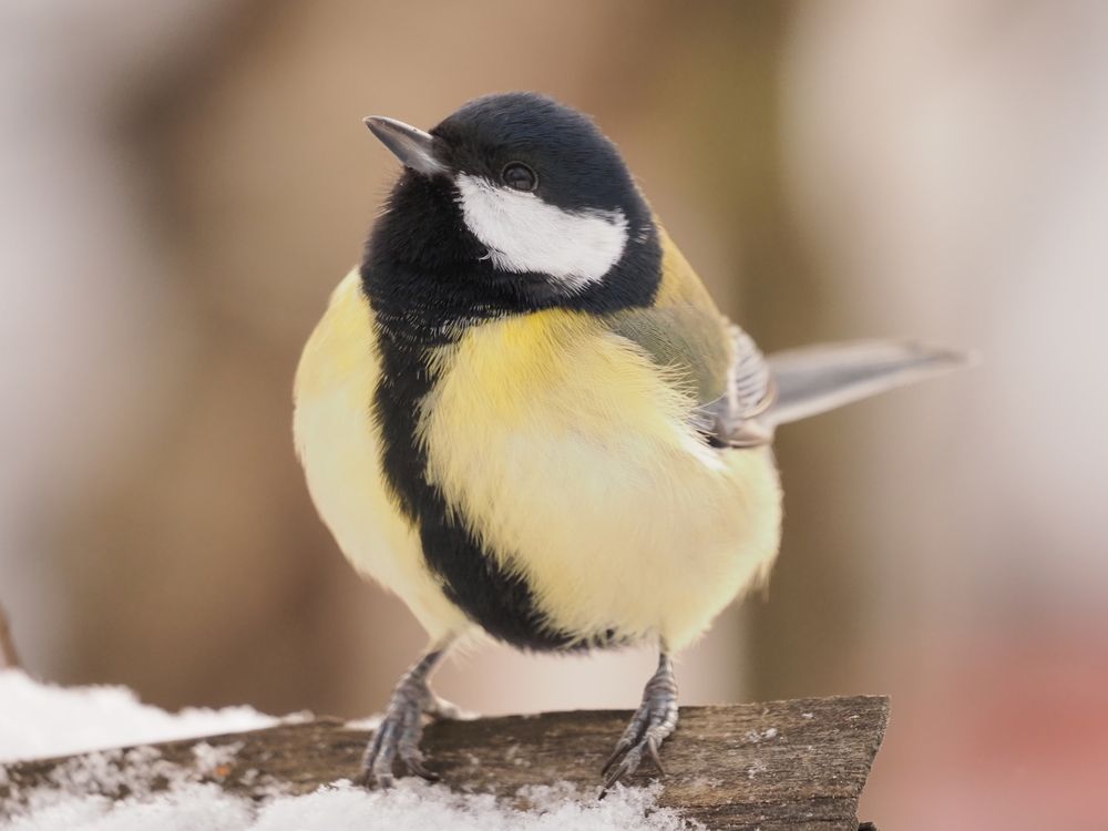 Photograph by Виктор Комиссаров