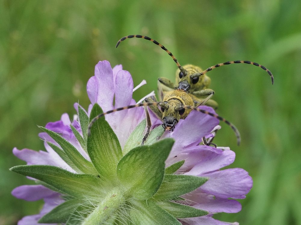 Photograph by Алексей Поляков