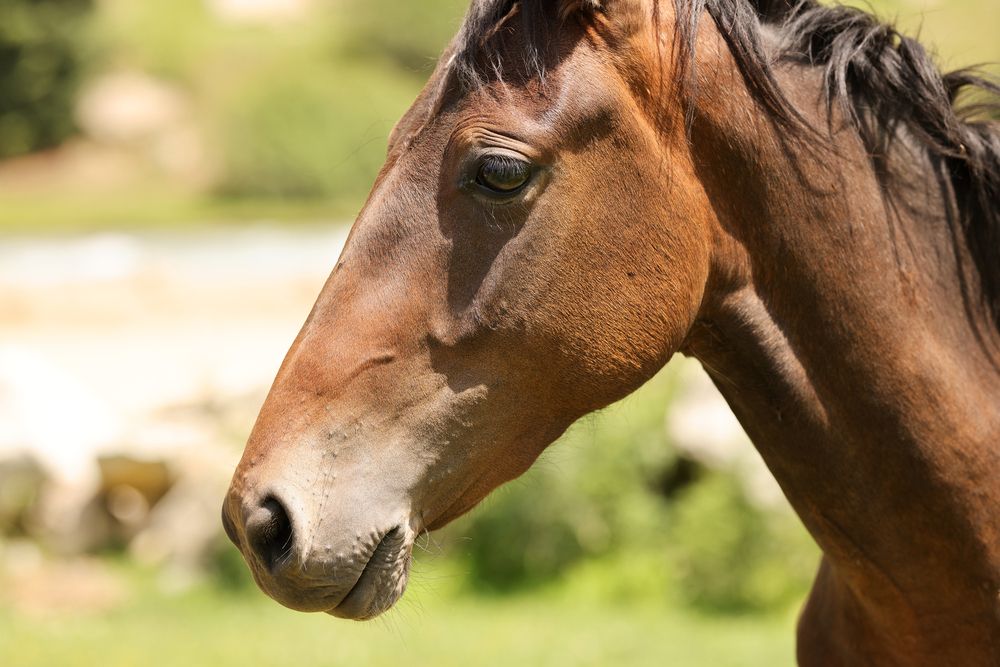 Photograph by Татьяна Михалевская