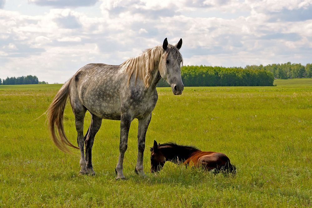 Photograph by Александр Каплан