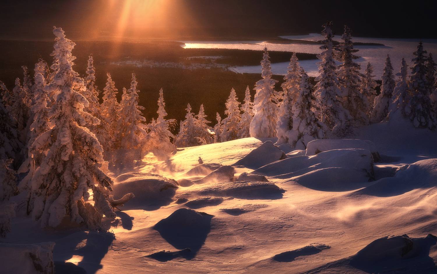 Фотография #13127878