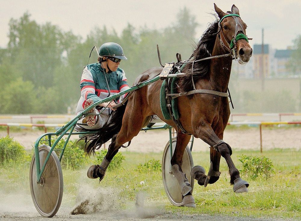 Photograph by Александр Каплан