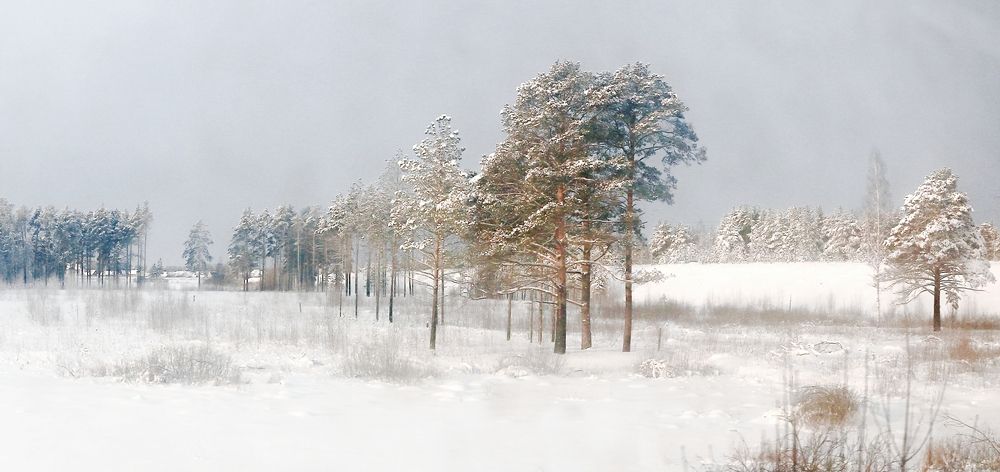 Фотография автора Дмитрий Климов
