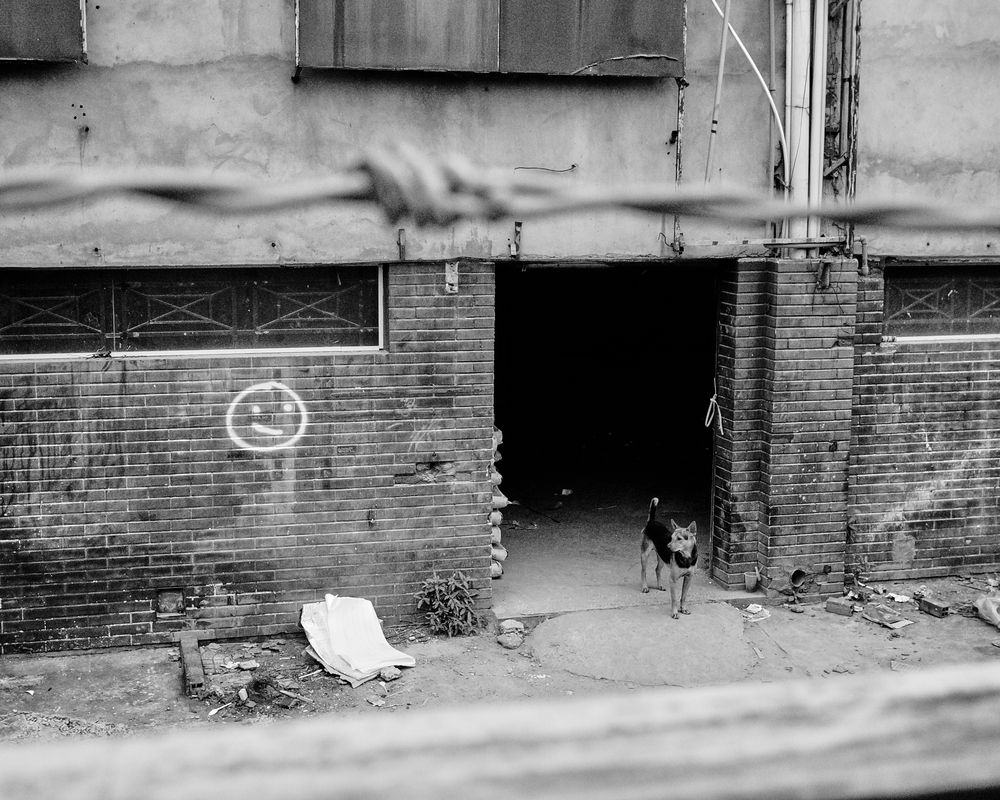 Photograph by Michael Le