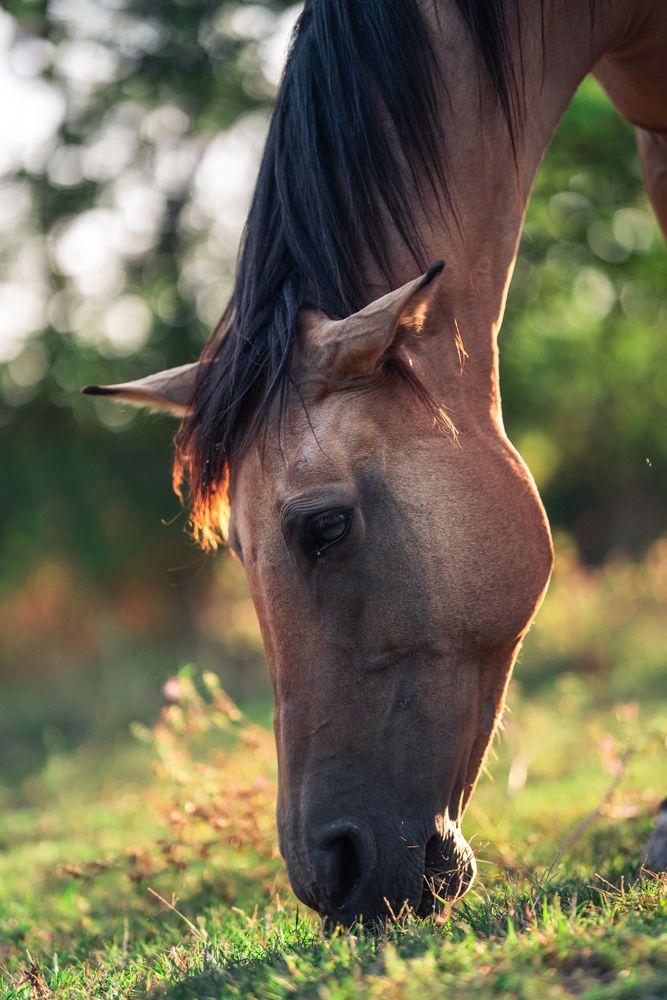 Фотография автора Артём Гуцалюк
