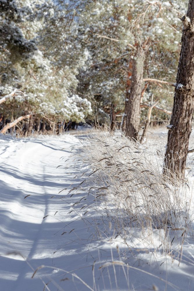 Photograph by Ирина Бочарова