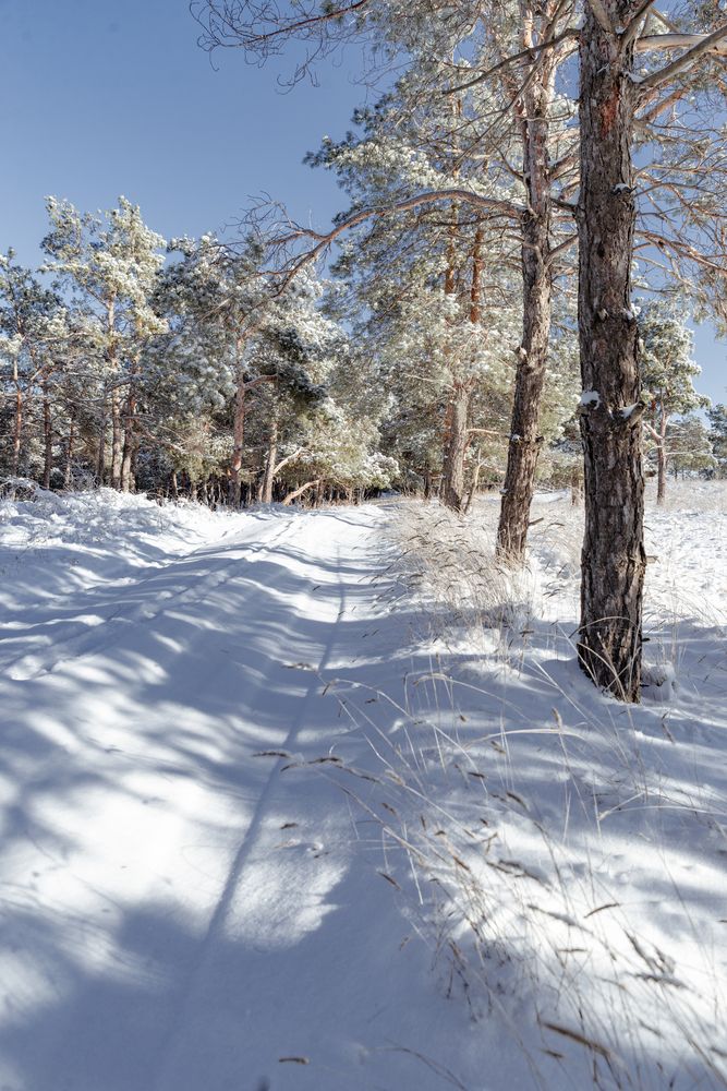 Photograph by Ирина Бочарова