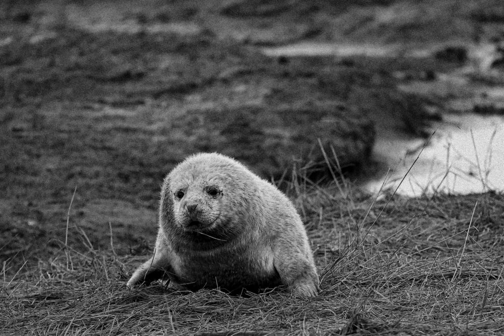 \"Even the wild knows when to rest.\"