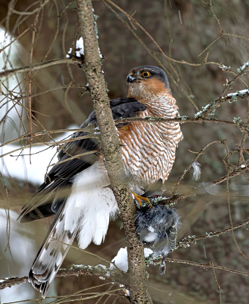 Photograph by Садыков Р