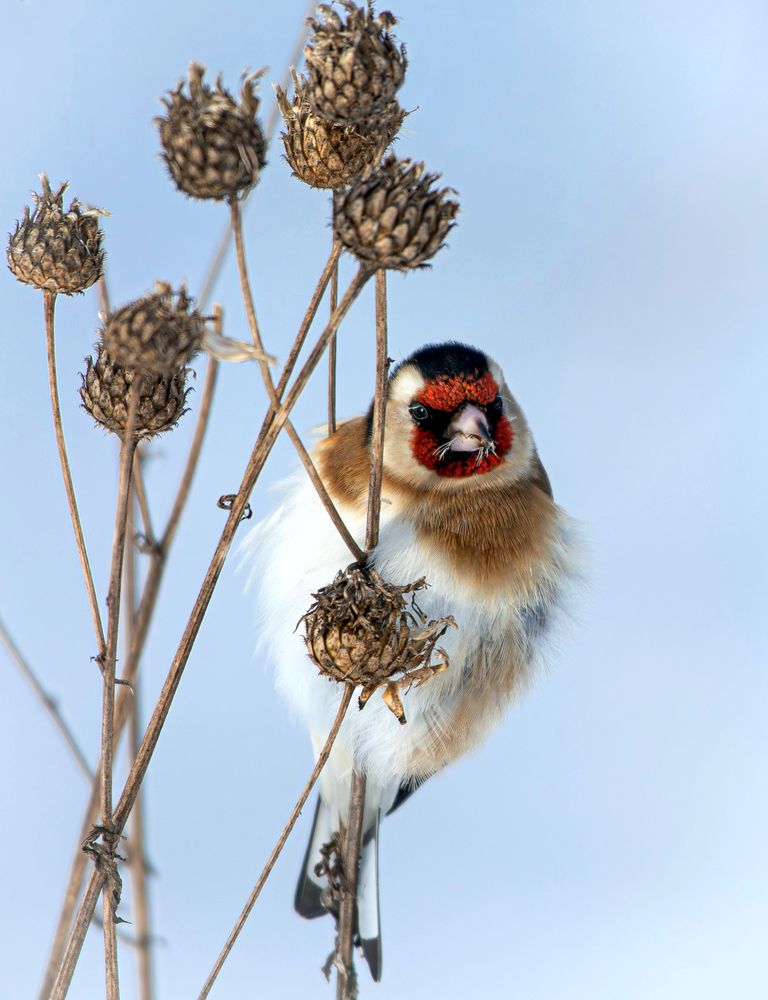 Photograph by Садыков Р