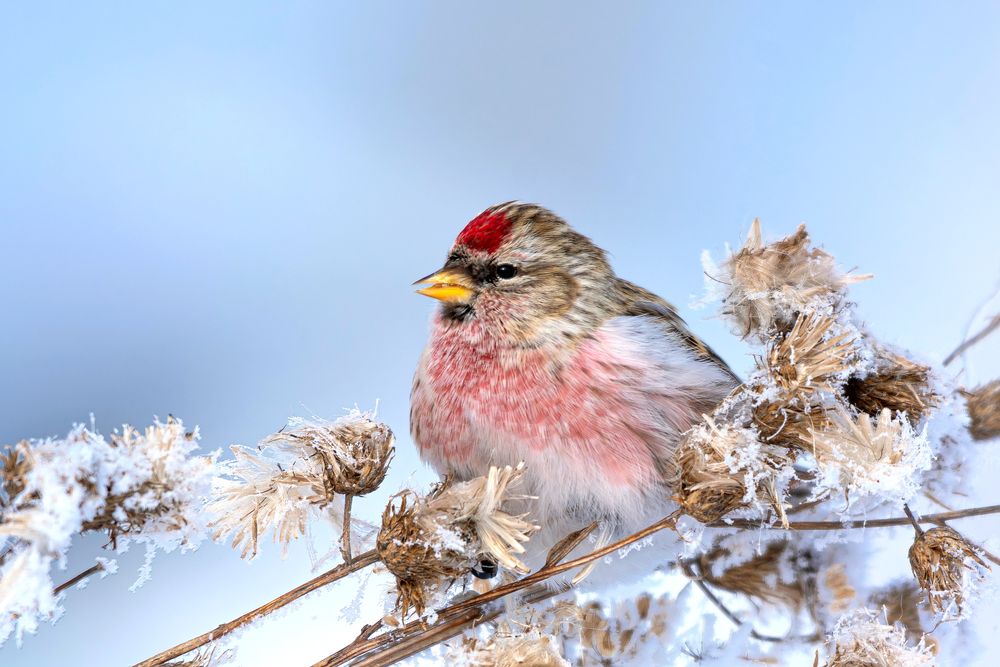 Photograph by Садыков Р