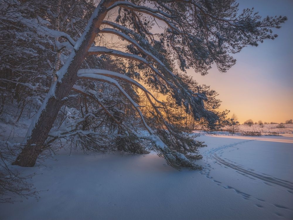 Photograph by Кирилл Сидоров