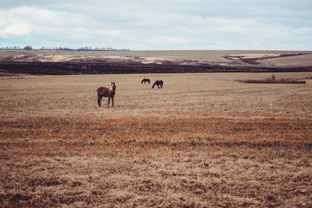 Photograph by Анна Бобкова