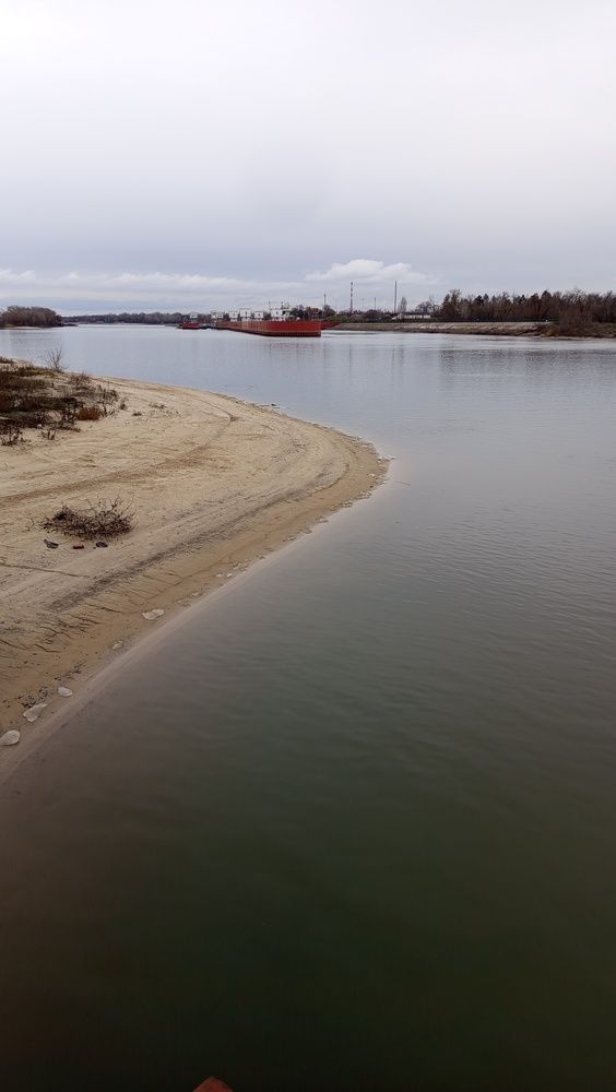 Photo #13128053