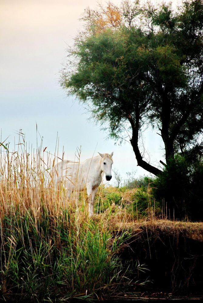 Photograph by Regina Belomytseva-Dahan