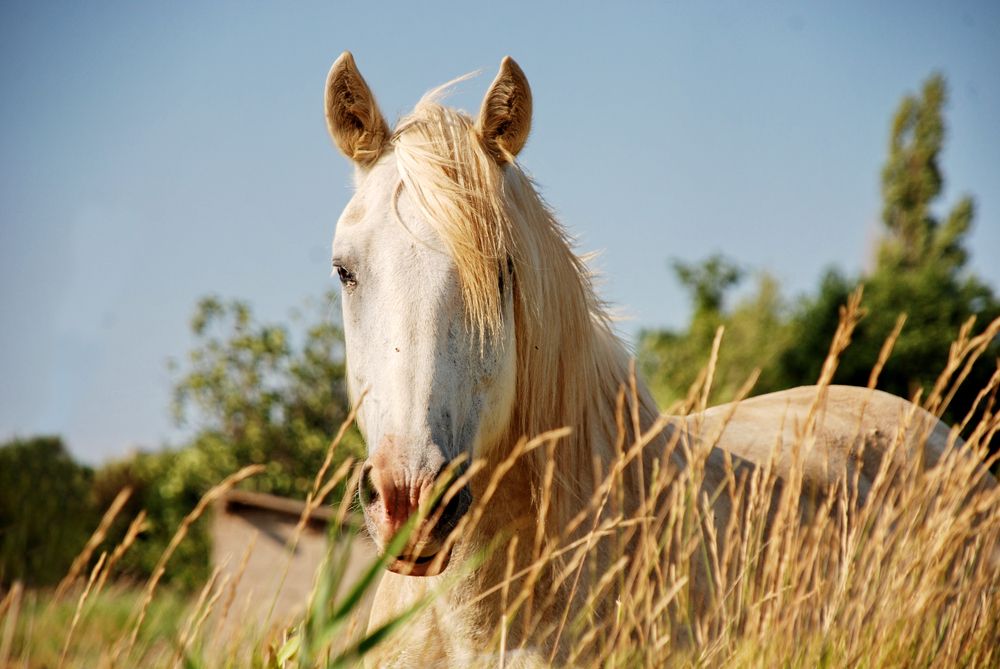 Photograph by Regina Belomytseva-Dahan