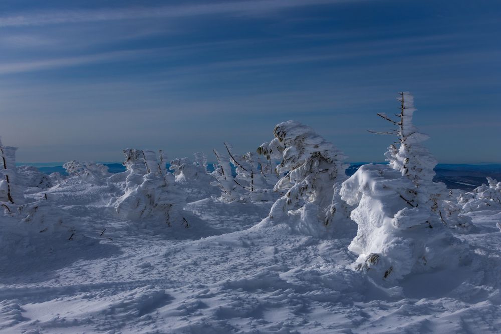 Photograph by Анна Чадова