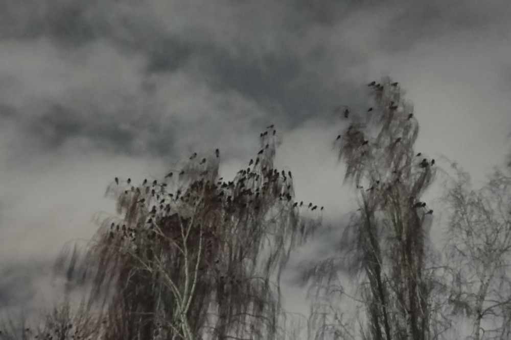 Фотография автора Оксана Горбатовская