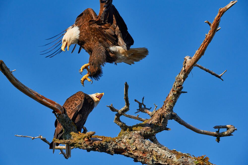 Photograph by ANDREA DUBLASKI