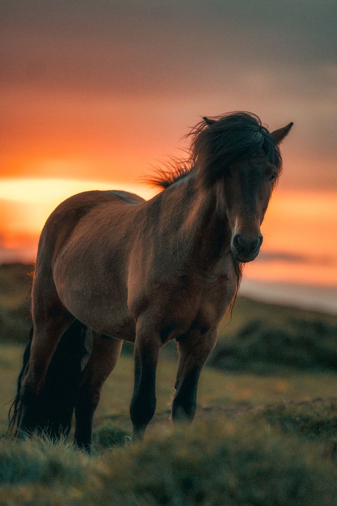 Photograph by Bjoern Hohler