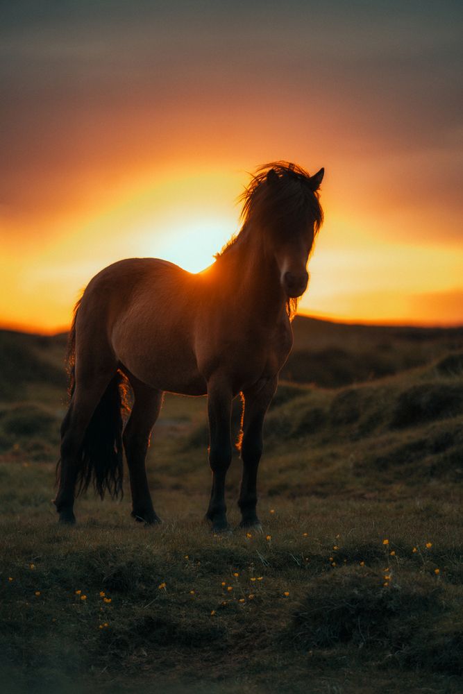 Photograph by Bjoern Hohler