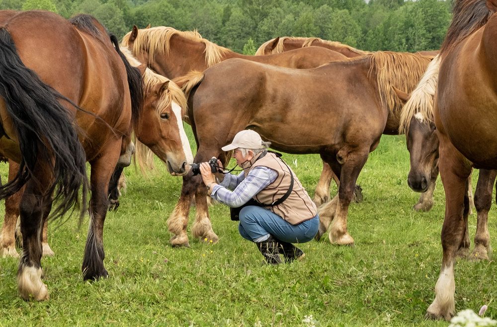 Фотография автора Наталья Липовская