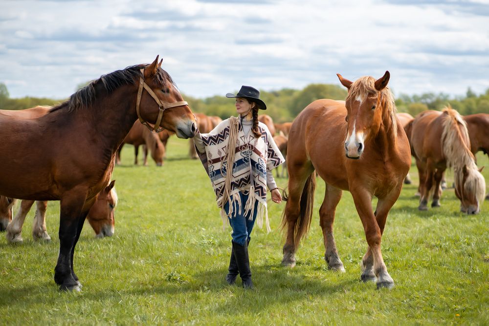 Photograph by Екатерина Сторожук